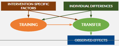 <p>suggests that variance at each stage of the process between training, transfer + observed effects occurs due to:</p><ul><li><p>intervention-specific factors depending on the training + transfer tasks</p></li><li><p>individual differences in the ability to transfer</p></li></ul><p>understanding this variance will aid us in understanding what will occur in transfer</p>