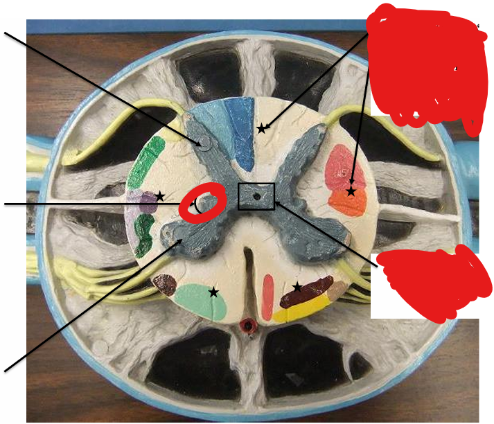<p>What is this</p>