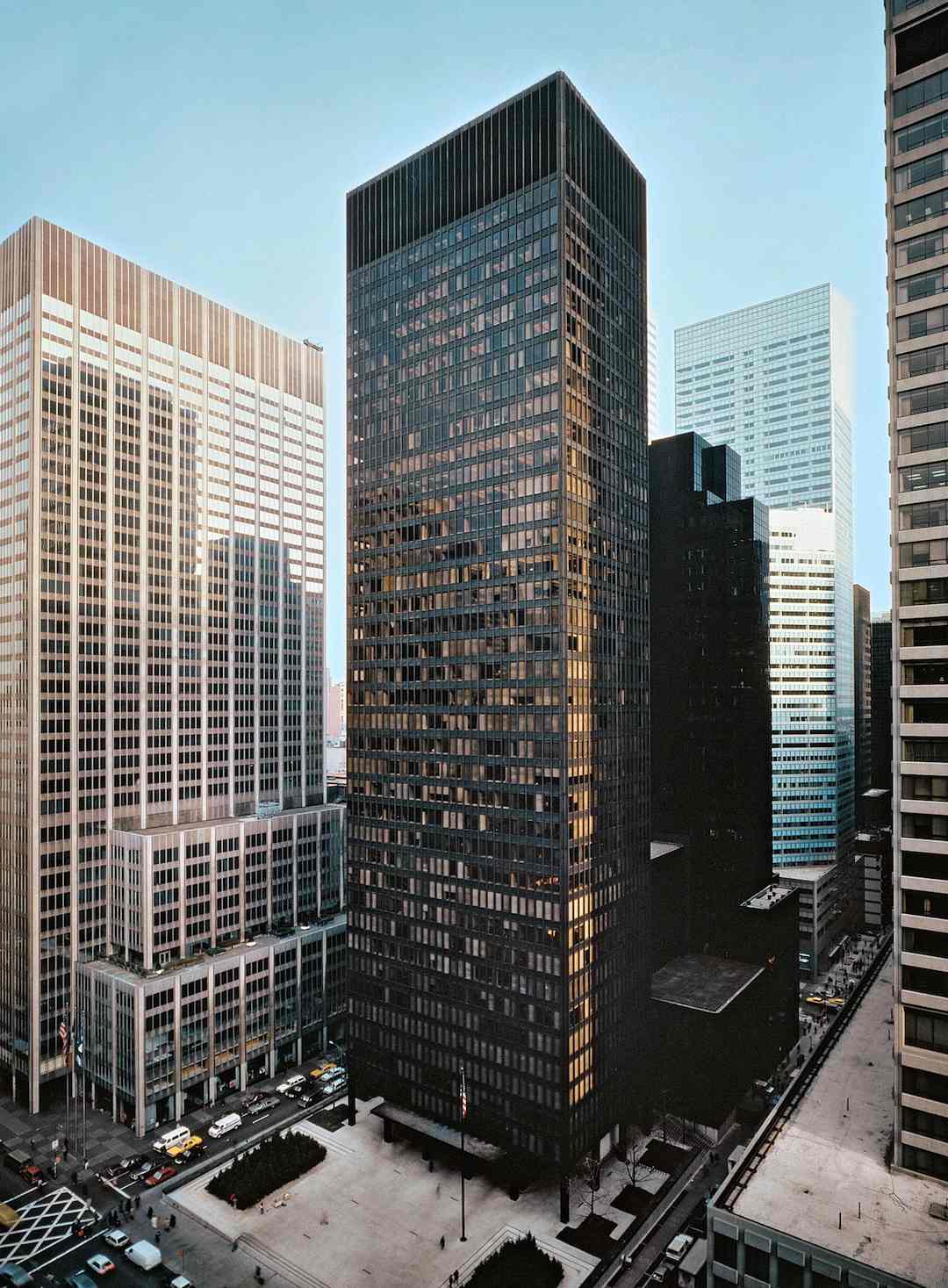 term image