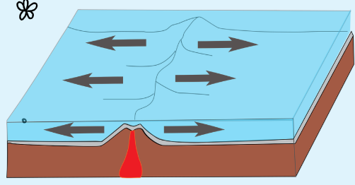 <p>When 2 plates are separating away from each other in the opposite directions </p>