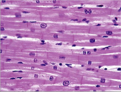 <p>What does this image show?</p>