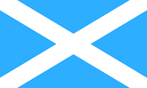 <p>From which country is this flag and what is it called</p>