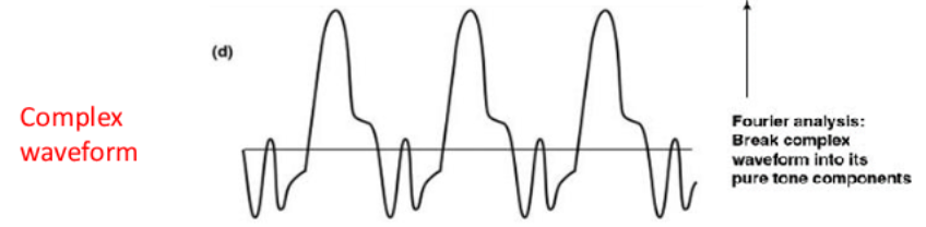 <p><span style="background-color: inherit; line-height: 21.85px; color: windowtext;">Decomposes any complex signal that evolves over time/space into its constituent oscillatory components</span></p><ul><li><p>How synthesisers work</p></li></ul><p></p>