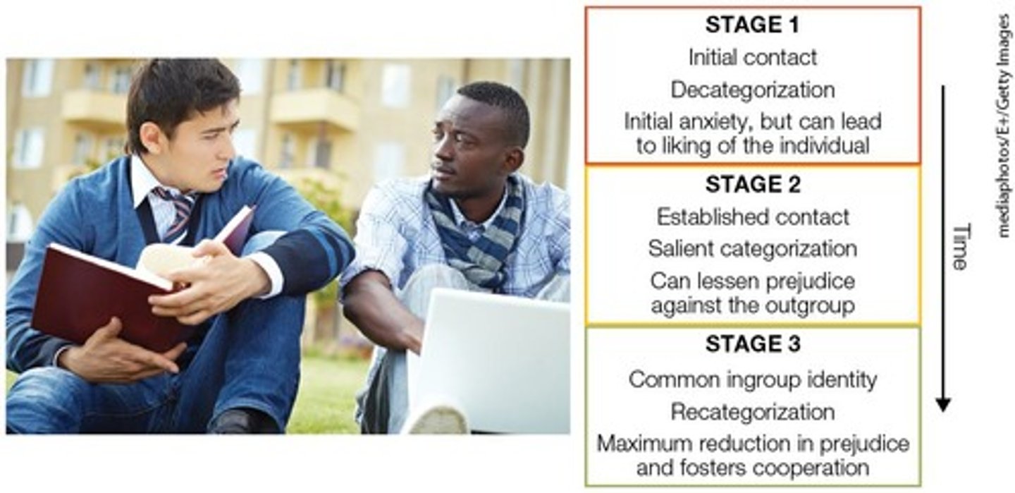 <p>It depends on the stages of intergroup contact that occur over time.</p>