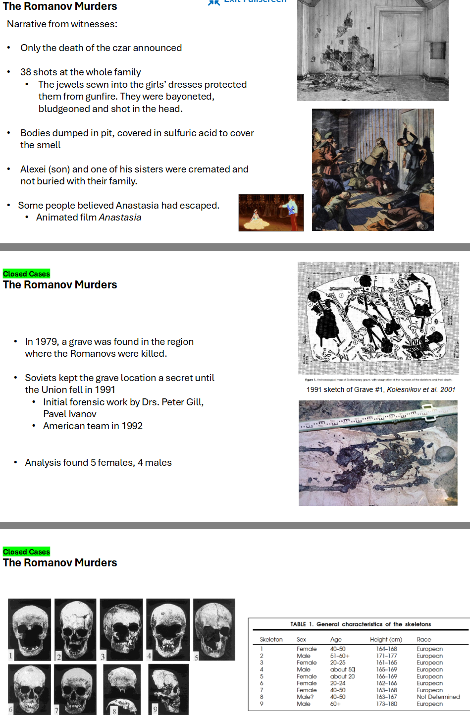 <p><span>Closed Cases: The Romanov Murders</span></p>