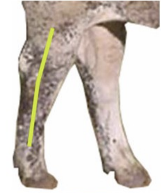 <p>straight line down</p>