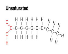 <p>A lipid made from fatty acids that have at least one double bond between carbon atoms.</p>