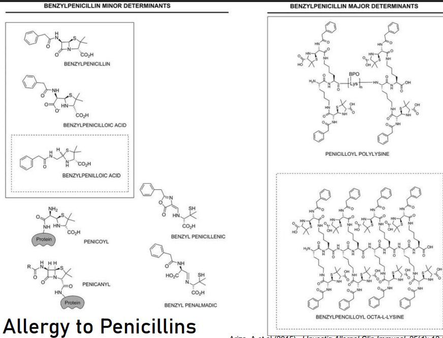 <p>ALLERGY TO PENICILLINS</p>