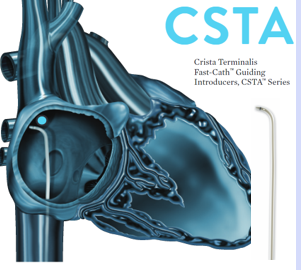 <p>CSTA (right sided)</p>