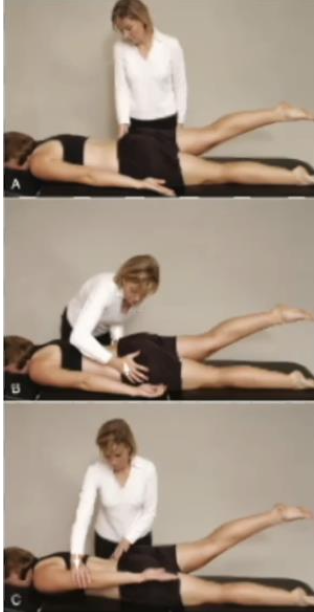 <p><strong>Purpose:</strong> Assess posterior force closure/motor control during hip extension</p><p></p><p><strong>How to Perform:</strong></p><ol><li><p>Patient prone</p></li><li><p>Patient lifts one straight leg into hip extension</p></li><li><p>Watch for abnormal lumbopelvic rotation</p></li><li><p>Repeat with manual innominate compression or resisted contralateral shoulder extension</p></li></ol><p></p><p><strong>Positive Test:</strong> Symptoms or abnormal motion improve with added closure</p><p></p><p><strong>Interpretation:</strong></p><ul><li><p>Improves with force closure = dynamic stabilization exercises</p></li><li><p>Improves with form closure/manual compression = may benefit from SI belt</p></li></ul><p></p>