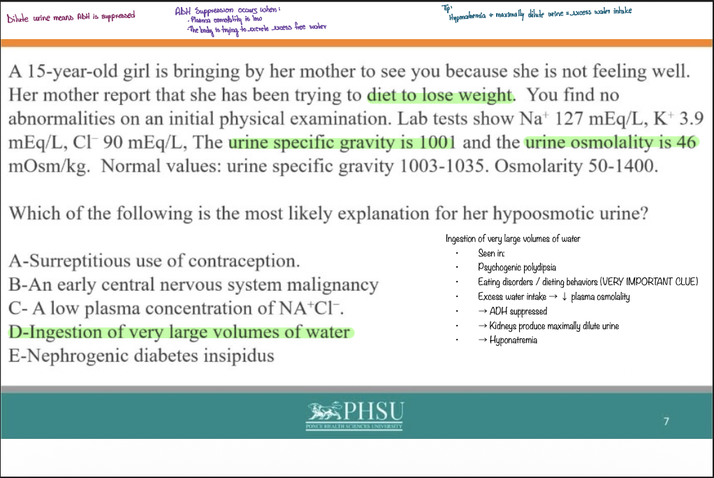 <p>D - Ingestion of very large volumes of water</p>