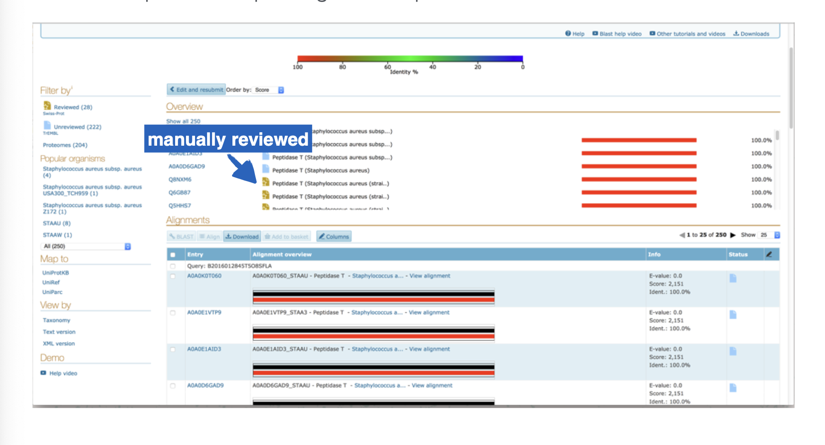 <p>This output is from ___</p>