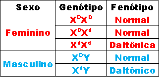 <p>A herança ligada ao x dominante afeta mais homens ou mulheres e a recessiva? Porque?</p>