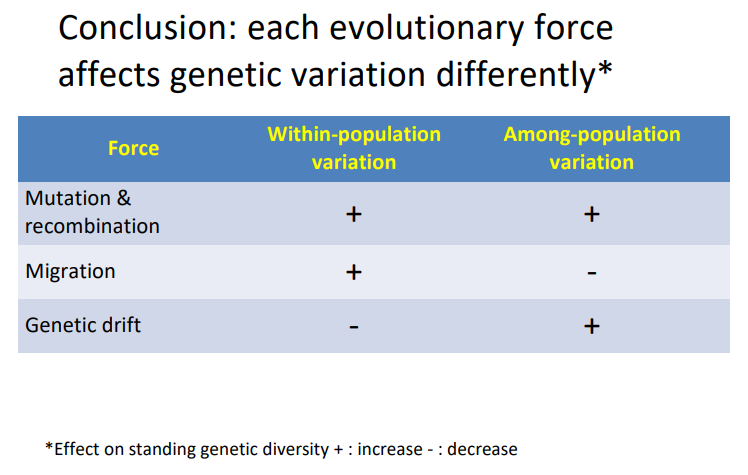 <p><strong>molecular level:</strong></p><ul><li><p><strong>mutations</strong>- rare but are the driving force of diversity</p></li><li><p><strong>recombination</strong>- transmission of genes on the same chromosome is not independent <strong>(linkage disequilibrium)</strong> but is <strong>reduced </strong>in populations due to recombination producing <strong>novel gametes</strong> (or gets preserved by selective sweeps)- <strong>doesn’t </strong>affect allele frequencies but <strong>increases </strong>heterozygosity</p></li></ul><p></p><p><strong>population level:</strong></p><ul><li><p><strong>non-random mating- </strong>does <strong>not </strong>affect allele frequencies but <strong>decreases </strong>heterozygosity </p><ul><li><p><strong>inbreeding</strong>- individuals mate with relatives more often than chance → inbreeding depression due to increasing <strong>homozygosity </strong>in <strong>recessive deleterious </strong>alleles reduces fitness</p></li><li><p><strong>positive assortative mating</strong>- individuals mate based on having similar phenotypes</p></li></ul></li><li><p><strong>random genetic drift-</strong> <strong>changes </strong>allele frequencies and <strong>decreases </strong>heterozygosity due to <strong>chance </strong>alone, strongest in <strong>small </strong>populations and hence often after a <strong>bottleneck </strong>→<strong> founder effects </strong>(increasing homozygosity of recessive deleterious alleles)</p></li><li><p><strong>migration </strong>(gene inflow/outflow)- <strong>increases </strong>diversity <strong>within </strong>sub-populations but <strong>decreases </strong>diversity <strong>between </strong>them</p></li><li><p><strong>natural selection</strong>/adaptation- selection acting on the whole organism, specifically on phenotypes that are associated with <strong>fitness </strong>(different kinds/directions have different effects on the population)</p></li></ul><p></p>