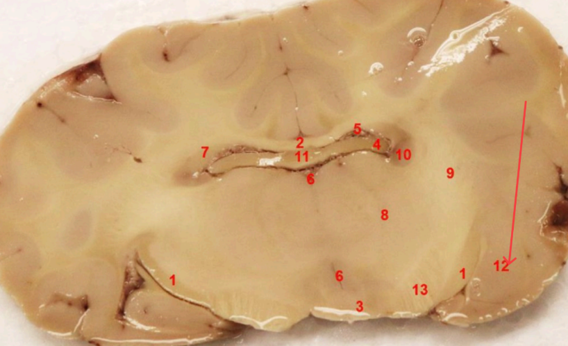 <p>what area is this , function?</p>