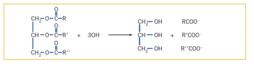 <ul><li><p><span>Soaps are the salts of long chain fatty acids</span></p></li><li><p><span>They are produced by the hydrolysis of triglycerides in the presence of a base to form soap and glycerol (the process is called saponification)</span></p></li><li><p><span>Animal fats are boiled in sodium hydroxide solution and salt is added, causing the soap to precipitate from the solution</span></p></li><li><p><span>The glycerol can be recovered by distillation</span></p></li><li><p><span>The soap produced in the reaction has a long non-polar hydrocarbon “tail” that can interact with non-polar compounds by dispersion forces and a charged carboxylate “head” that can interact with polar compounds (like water) by ion-dipole forces</span></p></li></ul><p></p>