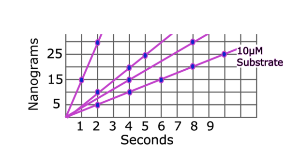 <p>What point on an MM plot can be generated from the 10 μM line in this graph?</p>