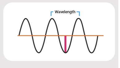 <p>Transverse wave: The oscillations are perpendicular to the direction of energy transfer</p>