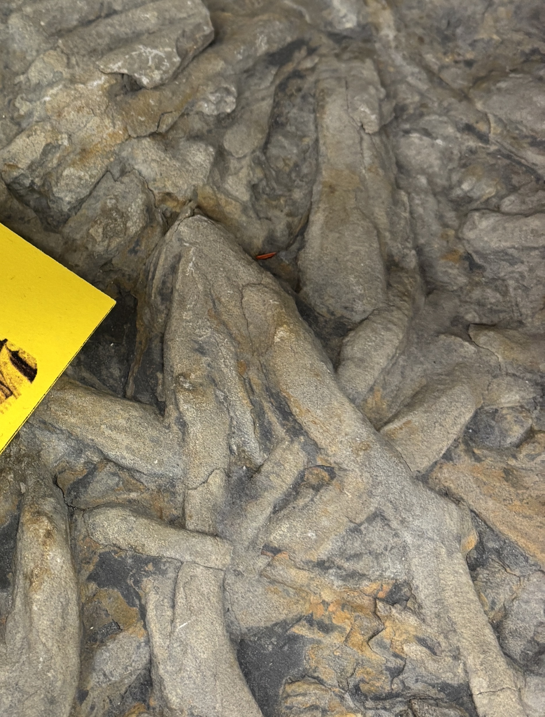 <p>pile of thick sticks, anthropology bones</p>