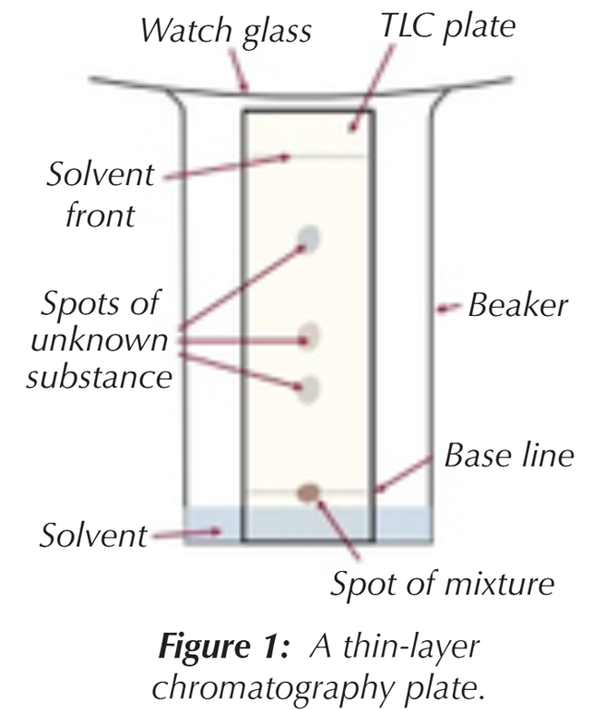 <ol><li><p>Draw a line in pencil near the bottom of the TLC plate (the baseline) &amp; put a very small drop of each mixture to be separated on the line</p></li><li><p>Allow the spots on the plate to dry</p></li><li><p>Place the plate in a beaker with a small volume of solvent (mobile phase). The solvent level must be below the baseline, so it doesn’t dissolve the samples away. Cover the top of the beaker with a watch glass</p></li><li><p>The solvent will start to move up the plate. As it moves, the solvent will carry the substances in the mixture with it (some chemicals will be carried faster than others &amp; so travel further up the plate)</p></li><li><p>Leave the beaker until the solvent has moved almost to the top of the plate. Then remove the plate from the beaker. Before it’s evaporated, use a pencil to mark how far the solvent travelled up the plate (solvent front)</p></li><li><p>Place the plate in a fume cupboard &amp; leave it to dry (fume cupboard prevents any toxic or flammable fumes from escaping into the room)</p></li><li><p>The result is called a chromatogram. The positions of the chemicals can be used to identify what they are</p></li></ol><p></p>
