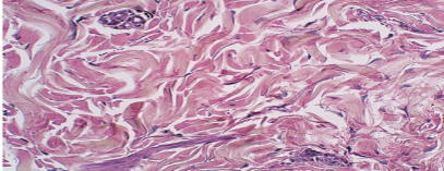 <p>Slide 19</p>