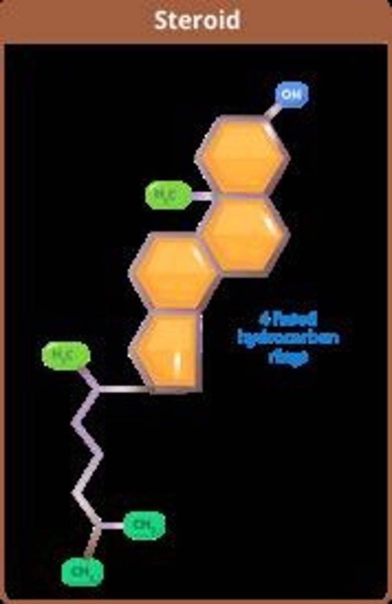 <p>A class of lipids characterized by a structure of four fused carbon rings, often functioning as hormones.</p>