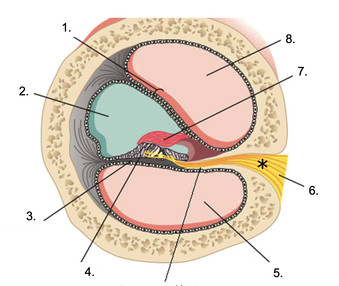 <p>number 2 is the __________. number 8 is the ________.</p>