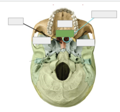 <p>This is the</p>
