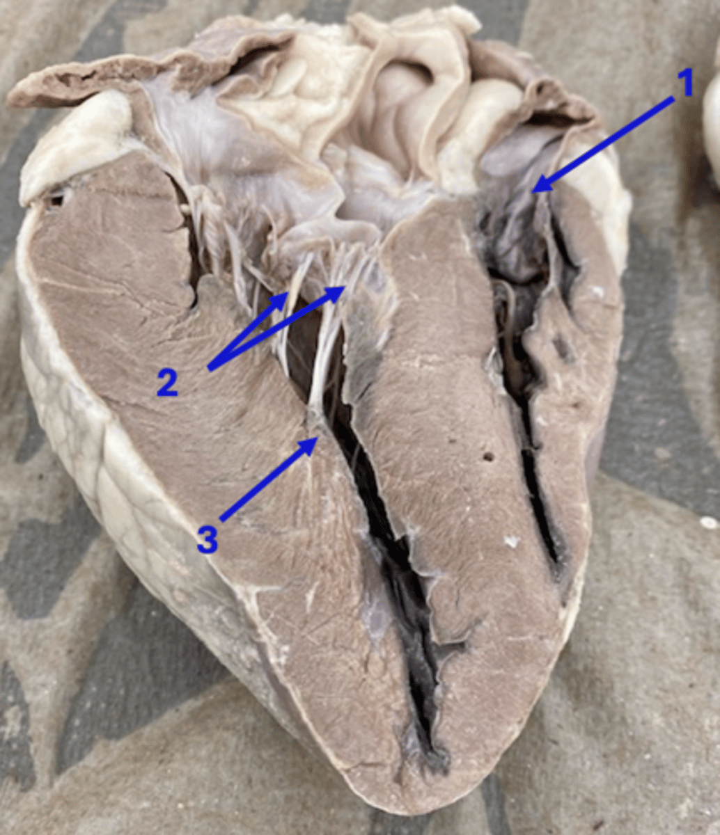 <p>2</p>