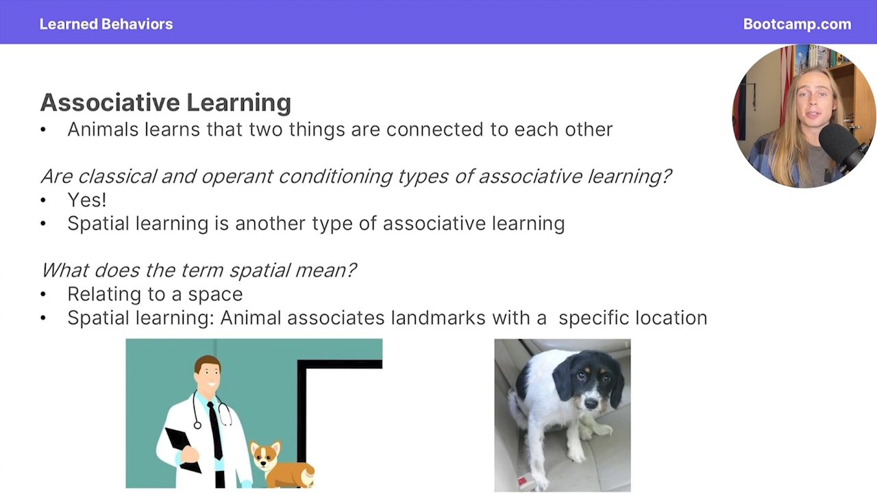 <p>an animal associates landmakrs with a specific location </p>