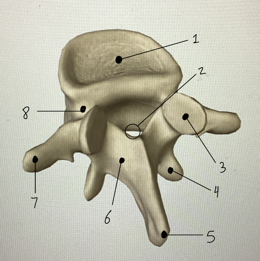 <p>#6: Name and function</p>