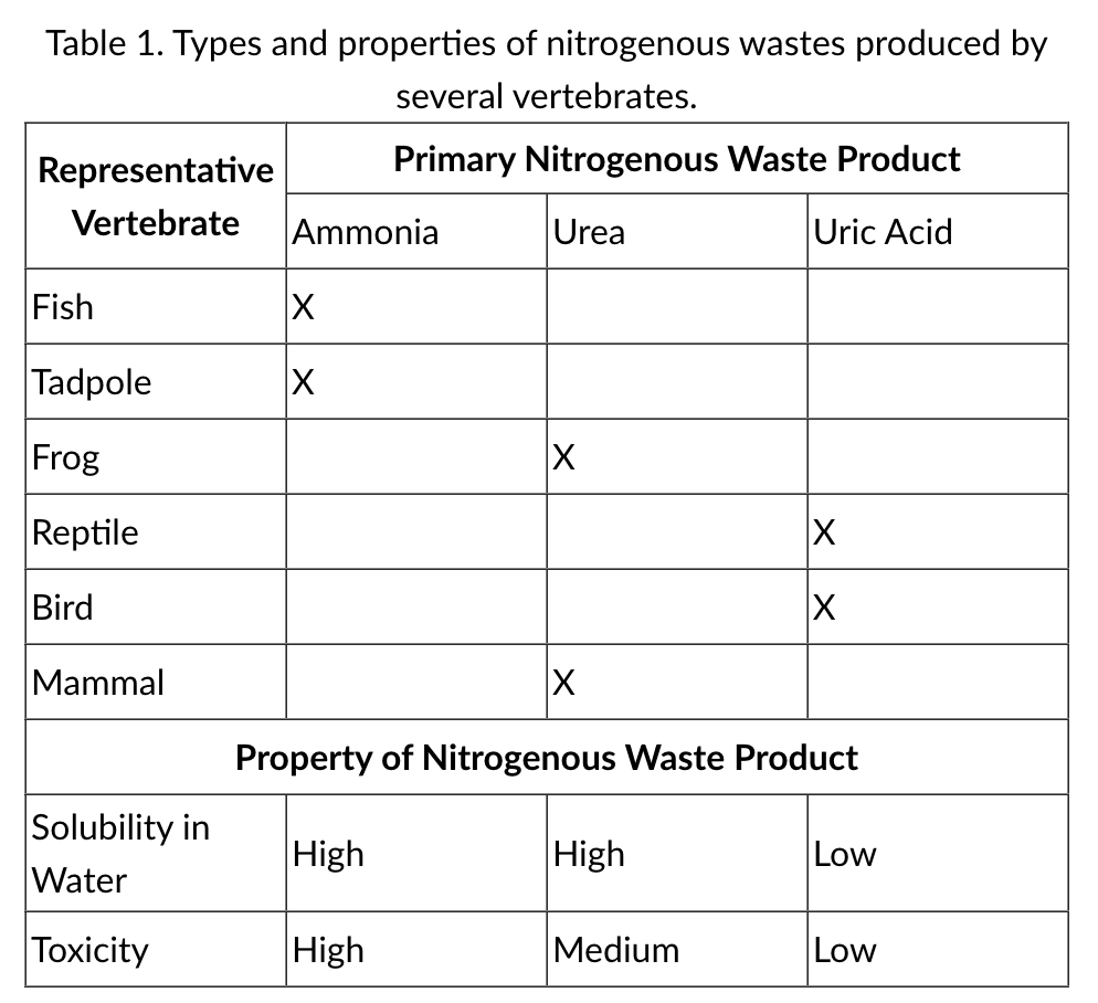<p>The table above shows the types and properties of nitrogen-containing wastes produced by several vertebrates. Which of the following is the best evolutionary explanation of the data?</p>