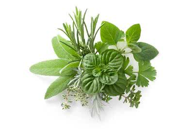 <p><span>herb</span></p>