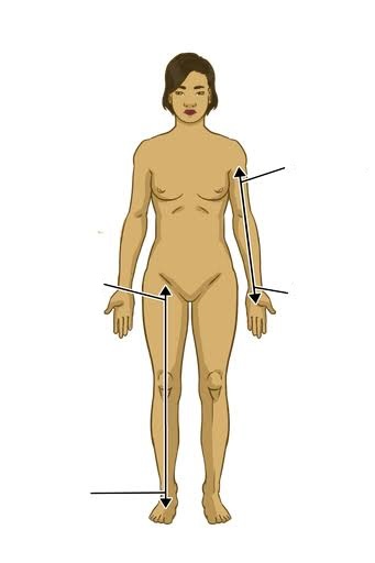 <p>Name the directional term describing something that is farther from a reference point (Usually the trunk of the body) than something else?</p>