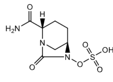 <p>name</p>