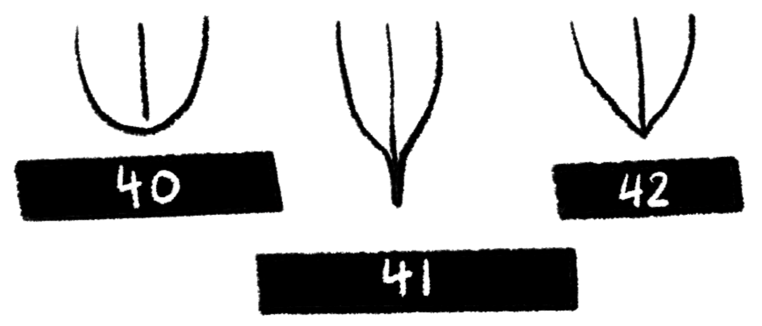 <p>What is 41?</p>