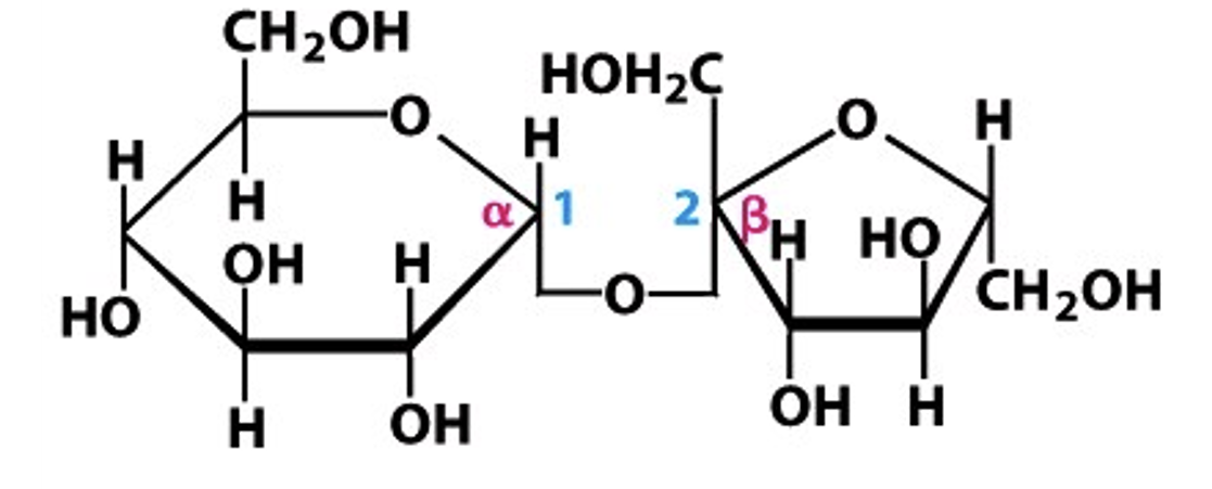 <p>Label the following with alpha or beta, the carbon numbers, and the type of bond:</p>
