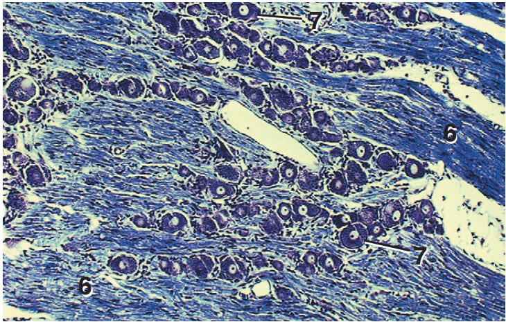 <p>Part and stain?</p>