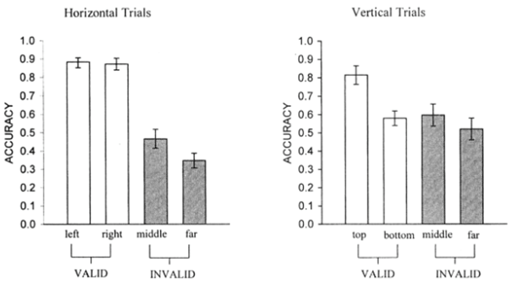 <ul><li><p>Accuracy much higher for valid cues</p></li><li><p>Accuracy for horizontal trials much higher than vertical trials</p></li><li><p>Hemifield division → more capacity to optimise across hemifield than within hemifields. </p></li><li><p>Upper field of visual display better than bottom field. </p></li></ul><p></p>