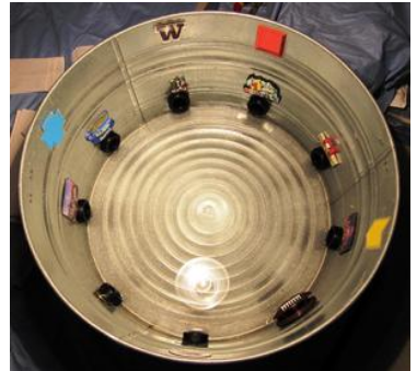 <p>Radial water tread maze (RWT)</p>