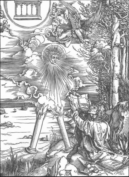 term image