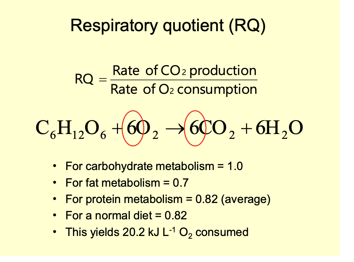 <ul><li><p>Normal→ 0.82</p></li><li><p>never really fully one fuel used or the other</p></li><li><p>metabolism is like dials→ not an on and off switch</p></li><li><p>RQ= Rate of CO2 production/ rate of O2 consumption</p></li></ul><p></p>