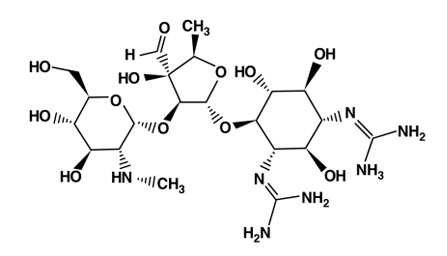 <p>[AMINOGLYCOSIDES]</p><p>a. Gentamicin</p><p>b. Tobramycin</p><p>c. Amikacin</p><p>d. Neomycin</p><p>e. Kanamycin</p><p>f. Streptomycin</p>