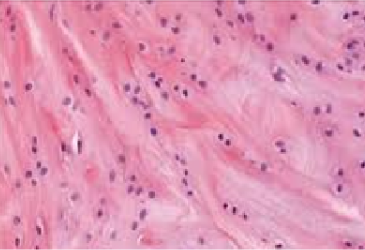 <p>ID tissue (be specific)</p>