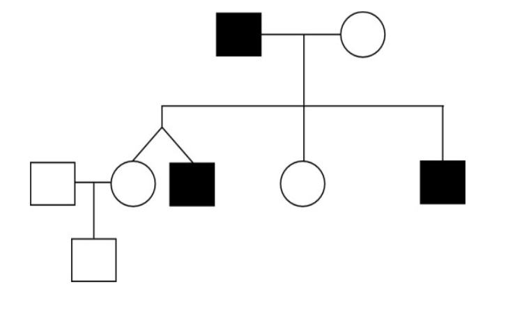 <p>Why can the mode of inheritance be difficult to determine from a pedigree?</p>