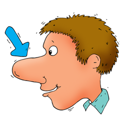 <p>nose</p>