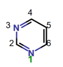 <p>Name this</p>