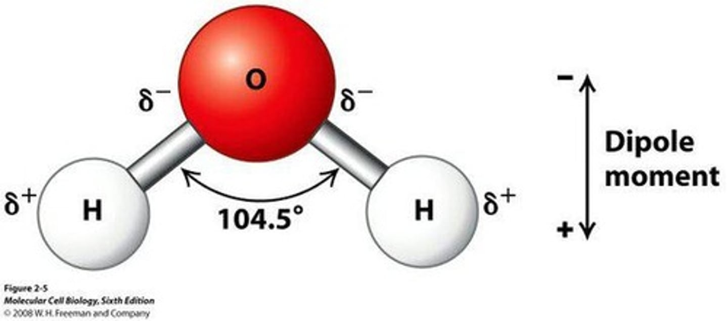 <p>It gives hydrogen atoms a partial positive charge and the oxygen atom a partial negative charge.</p>