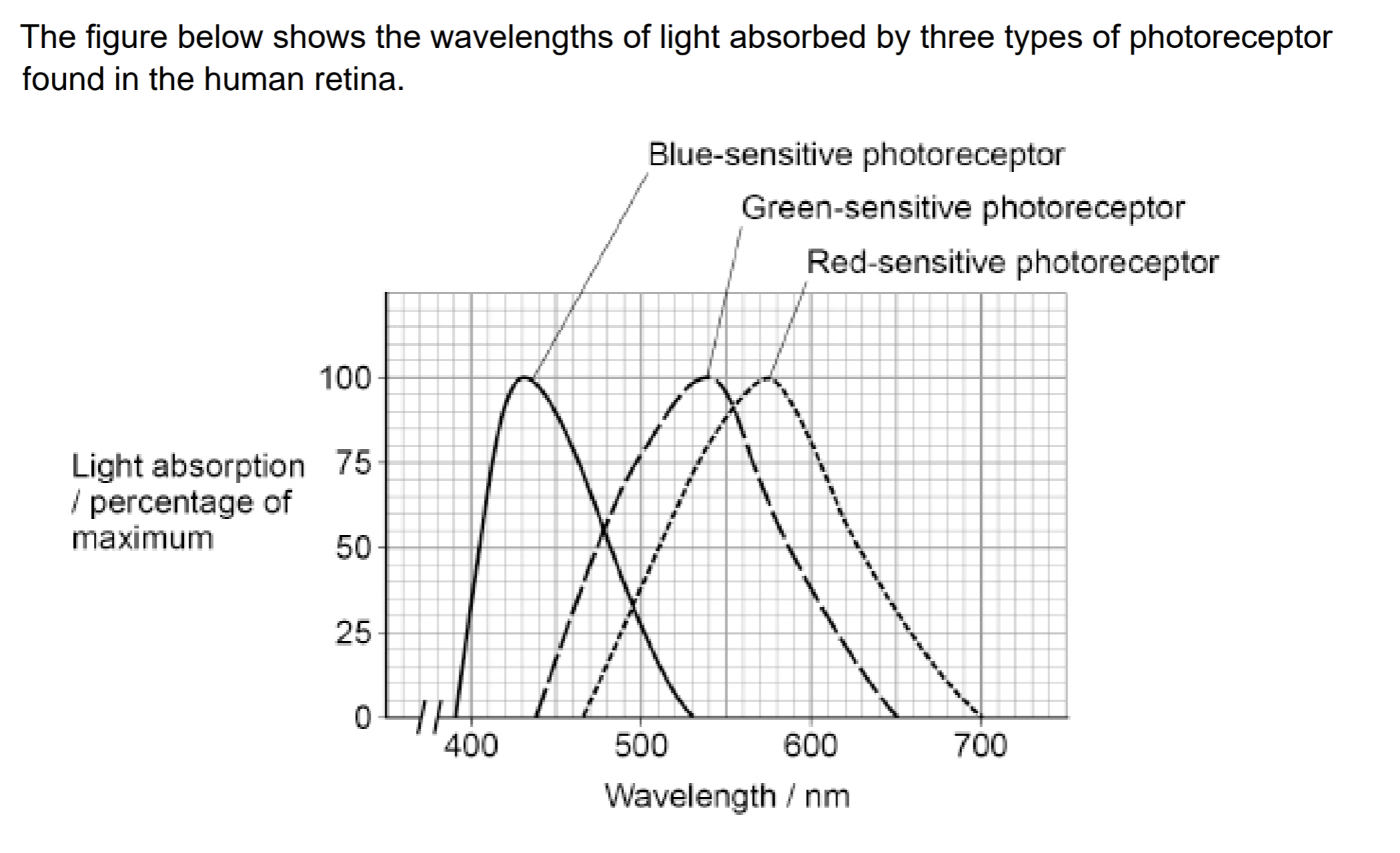 <p>use the figure and your knowledge of colour vision to explain how an orange colour is seen at 600 nm (3)</p>