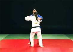 <p>Major hip throw </p>